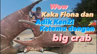 Kaka Fiona dan adik Kenzi ketemu kepiting raksasa di pantai gais😱😱😱