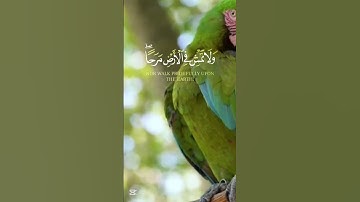 قرآن الكريم سورة لقمان الآية 18 The Holy Quran, Surah Luqman, Verse 18 #قران_كريم #انقذوا_غزة