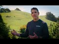 Fire-Resistant AZEK® Siding & Trim: Petaluma, CA Home Renovation