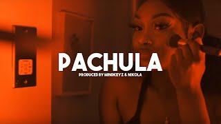 Dancehall X Afrobeat Instrumental Riddim Beat - Pachula