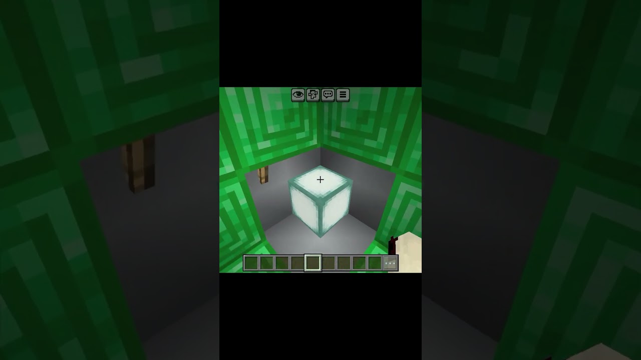 real illusion in minecraft 