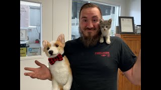 Firelands Auto Group Mascot Firelands Frank meets Avis the Kitten.