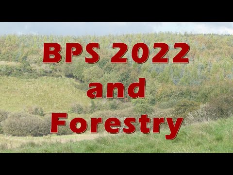 Basic Payment Scheme and Forestry 2022