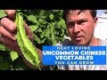 Uncommon Chinese Vegetables That Thrive in Hot Summers or the Tropics