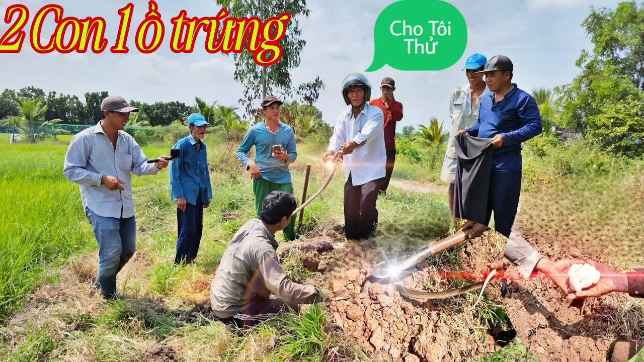 Phần2:Nhiều Chủ Ruộng Vui Mừng Khi Nhóm Bắt Thêm Được Rắn Độc ||Giang Ca SB#94
