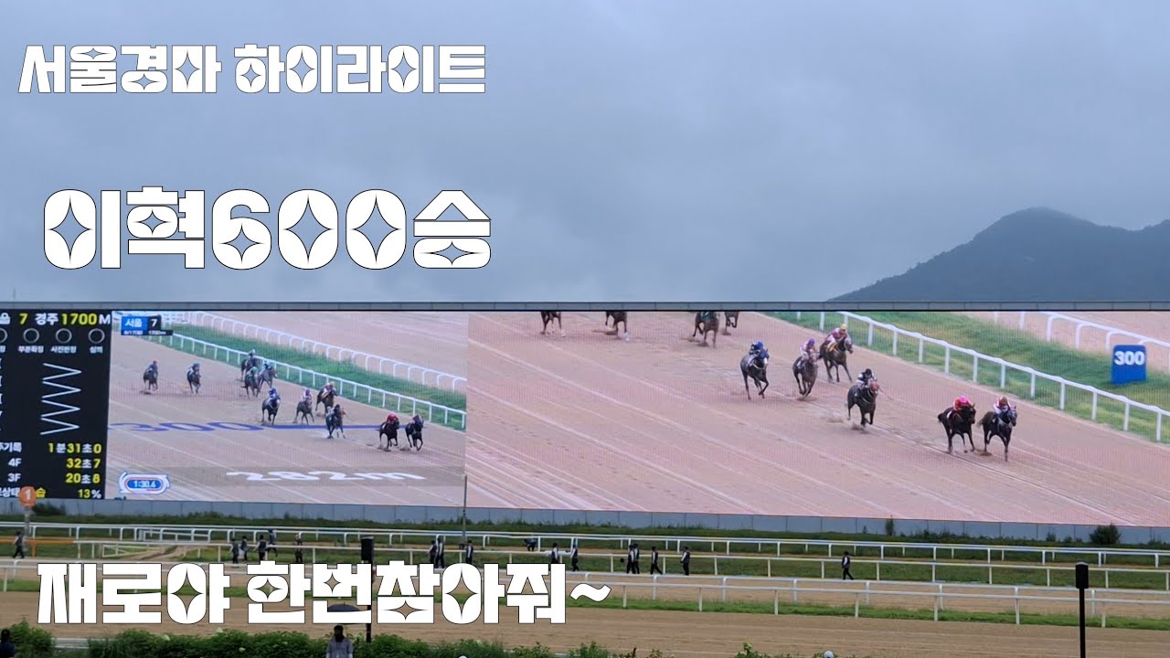 왜7번이 안팔릴까나? 설마가 들어왔네?(월요경마 하이라이트 이건 쌍식이지~암)
