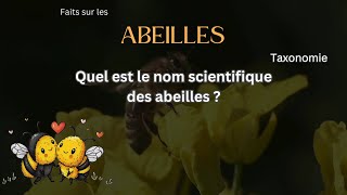 Fait sur les Abeilles 13 - Quel est le nom scientifique des abeilles?
