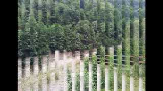 Aman Avci Vurma Beni̇