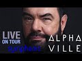 ALPHAVILLE THE SYMPHONIC TOUR