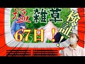 【塩　雑草予防　無農薬】雑草生やしたくない人必見！これなら戦える／後編（検証）