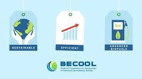 BECOOL   Brazil EU Cooperation for Development of Advanced Lignocellulosic Biofuels