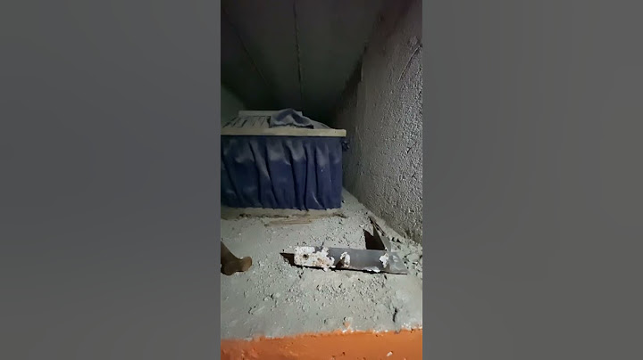 Las tumbas están abiertas 🪦💀⚰️😨