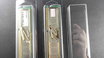 memory ram module packaging plastic box case blister clamshell esd wjp memorypack