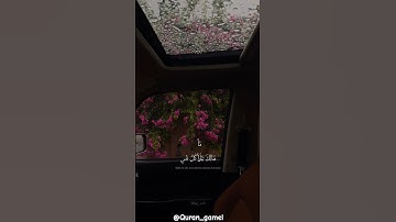 ﴿ هُنَالِكَ تَبْلُو كُلُّ نَفْسٍ مَّا أَسْلَفَت﴾ سوره يونس، عبدالرحمن مسعد #ارح_قلبك #قران_كريم