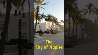 Bet You Didnt Know This About Naples Fl shorts