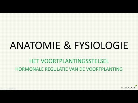 Video: Voorkomen En Reproductieve Rollen Van Hormonen In Zaadplasma