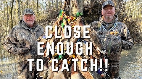Hunting Ducks Close Enough To Catch! | Thousands In The Timber!! | Into The Woods with Rusty Creasey