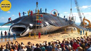 The Best 10 Bizarre Creatures You Won’t Believe Exist| Bizarre Creatures