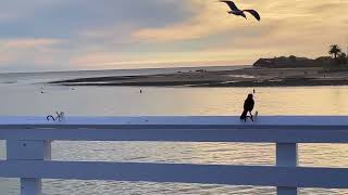 Walking at Malibu Pier in LA