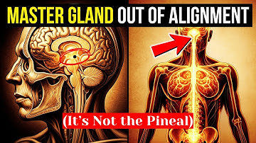 You’re Obeying an Impulse That Isn’t Yours (“Disobey” by Doing This)