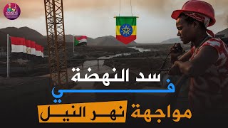 أزمة سد النهضة و التطورات الاخيرة بين مصر و السودان و اثيوبيا. الاستاذ الدكتور عامر غسان فاخوري.