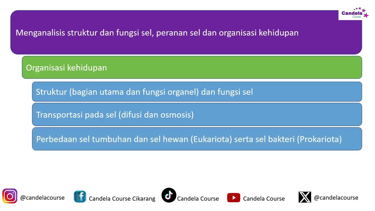 Kisi   Kisi OSN IPA SMP 2026