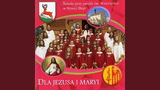 Video thumbnail of "Schola przy parafii św. Wawrzyńca w Nowej Słupi - Sercem kocham Jezusa"