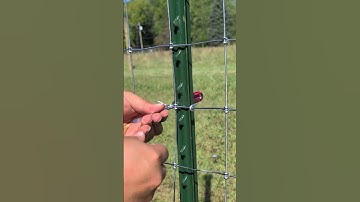 How To Install T Post Clips #farming #fencing #homestead #country