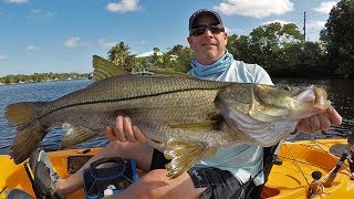 Famous Inshore Snook & Tarpon Charter - DEEP BLUE Kayak Fishing Charters Net Worth