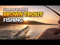 Summer Evening Brown Trout Fishing 🐟 | Fly Fishing at Golden Hour