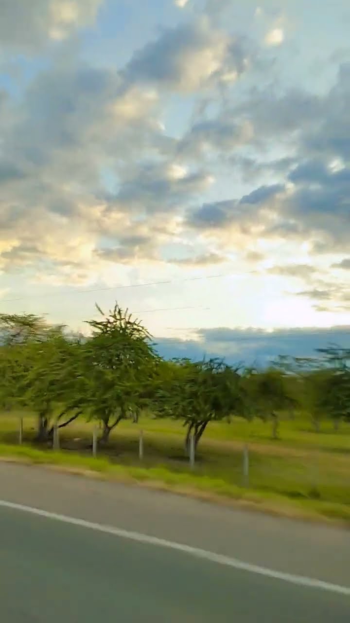 COLOMBIA TIERRA QUERIDA #humor #cosasdefamilia #comedia #humorfamiliar
