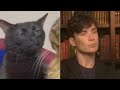 CHARLEMOS SOBRE PEAKY BLINDERS? - comentarios cortos EN VIVO