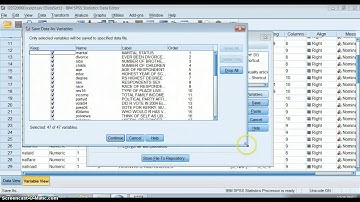 How to Make a Smaller Dataset in SPSS
