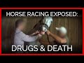 Horse racing exposed drugs and death