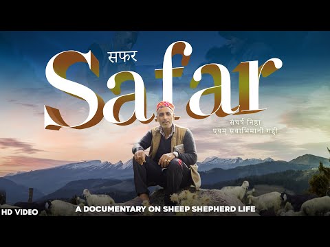 A Short Movie - सफ़र गद्दी भेड़पालकों के जीवन पर आधारित Documentry - Trinetra House