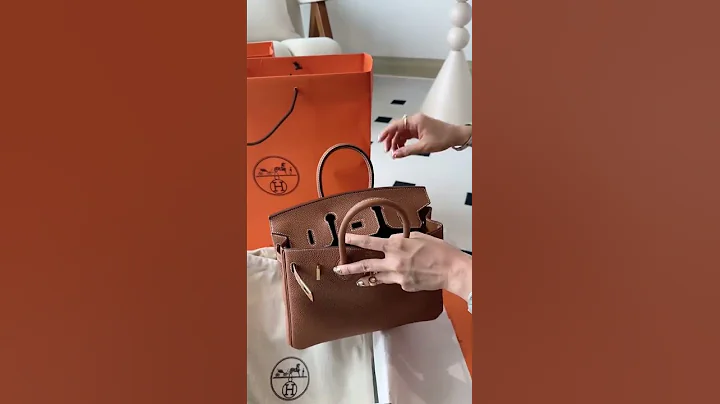 Hermès Birkin 25 leather bag unboxing | Why this $45,000 bag is worth it
