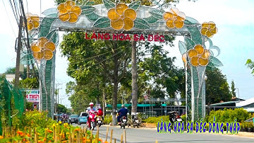 Làng hoa Sa Đéc - Nơi trồng hoa lớn nhất Miền Tây I Miền Tây 24h