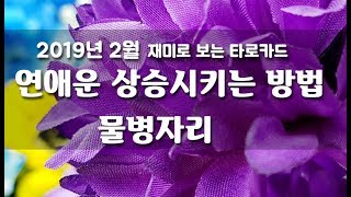 2019년 2월 물병자리 연애운을 상승시켜는 주는 조언의 타로카드   / 재미로 보는 타로카드