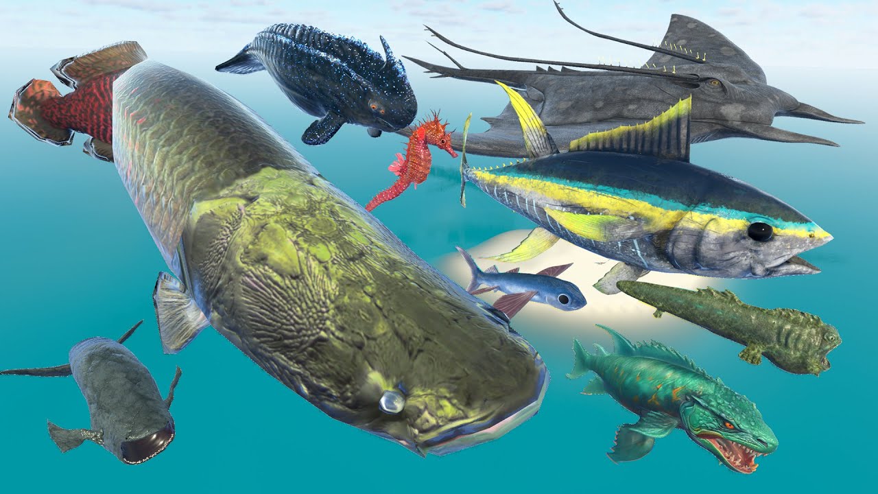 Aircraft Arapaima Vs Terrible Dog-Fish Vs 3D REal Fish, Monster Fish Size Comparison