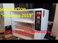 Инкубатор &quot;Новинка 2019&quot; Часть 2. Тест.