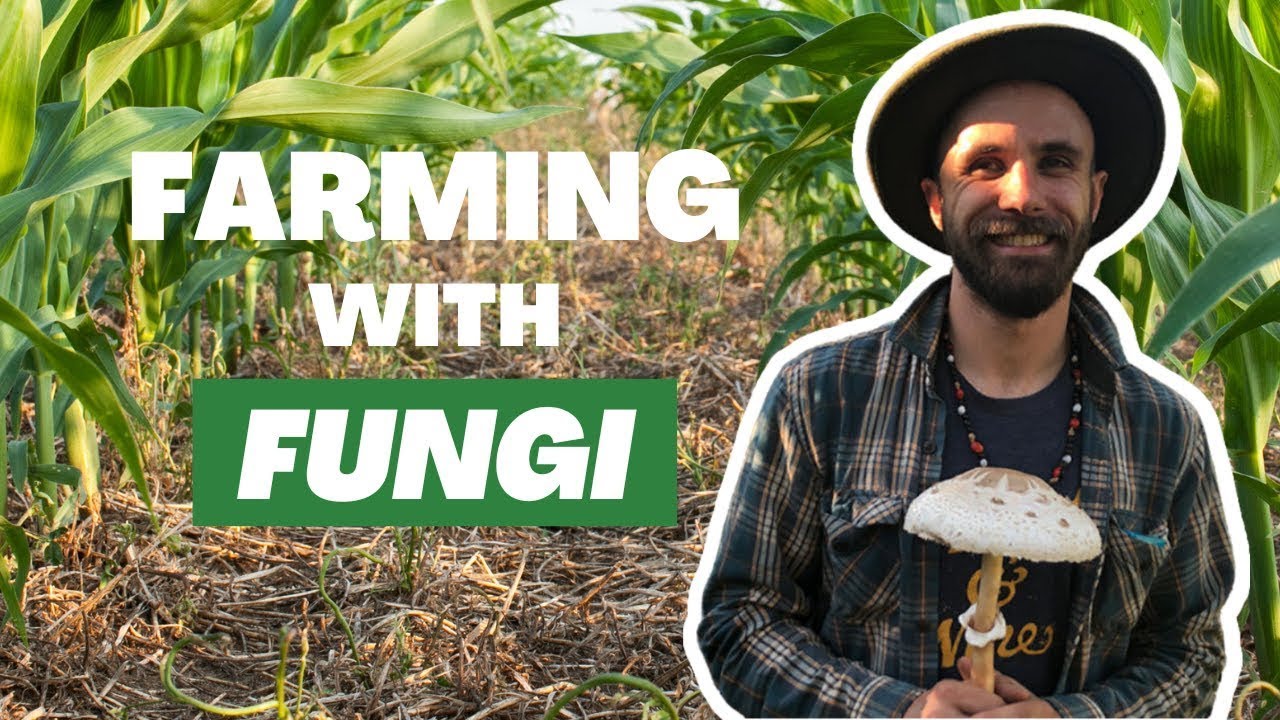 Farming with Fungi | Soil Food Web