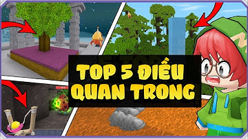 Top 5 điều bạn cần biết trong sinh tồn Mini World