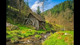 Visiting the Black Forest - An Enchanting Journey (4 Minutes)