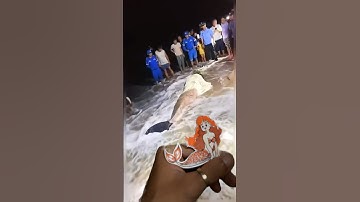Video triệu view trên youtube: Phát hiện sinh vật biển giống nàng tiên cá 🧜‍♀️ #shorts #mermaid
