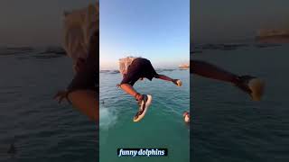 African dolphin Omg.#funny  #funnymemes #meme #trendingshorts #trending #trendingvideo