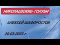 НИКОЛАЕВСКИЕ ГОЛУБИ АЛЕКСЕЙ ШАФОРОСТОВ 20.03.2022.г.