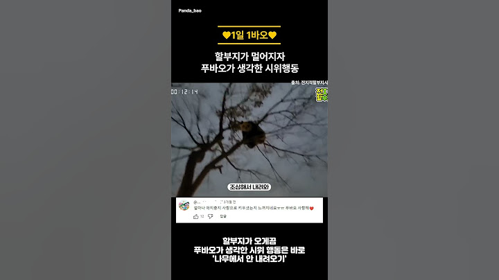 할부지가 멀어지자 #푸바오 가 생각한 시위행동  #shorts