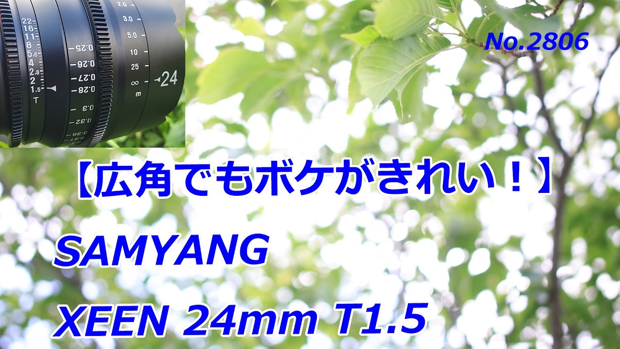 SAMYANGシネレンズ24mm T1.5 MFT 24mm T1.5 Full Frame Wide Angle – Samyang US
