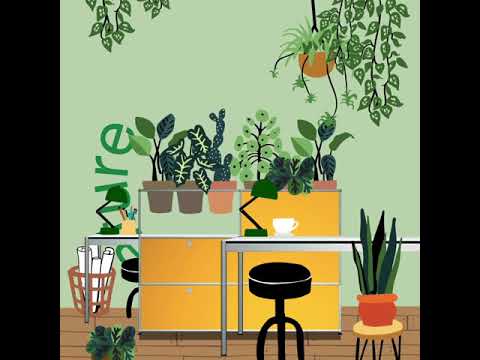 USM Haller | Univers végétal pour le bureau ou la maison |  Tables d'appoint & Sideboards