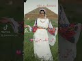 عيون الشاوية قتلوني